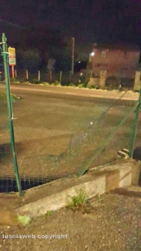 Viterbo - Cassia Nord - Furto al negozio di articoli per animali da compagnia 