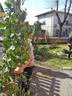 Vetralla - Il nuovo giardino dell'asilo nido comunale