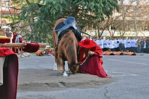 I festeggiamenti per san Quirino e Candido 