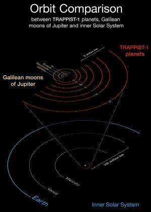 Trappist e le orbite