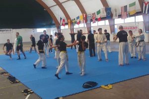Sport - L'Akido seminar internazionale