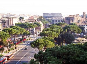 Roma