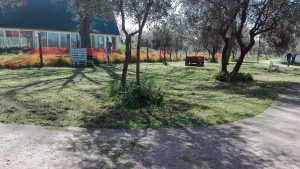 Viterbo - Santa Barbara - Parco delle Querce