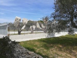 Melendugno - Il cantiere Tap