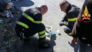 I gattini salvati dai vigili del fuoco 