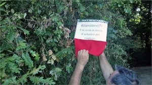 Emergenza cinghiali 