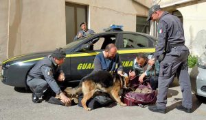 La guardia di finanza in di Civitavecchia in azione