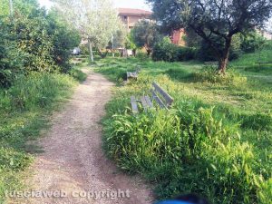 Viterbo - Erba alta al giardino di viale B. Buozzi