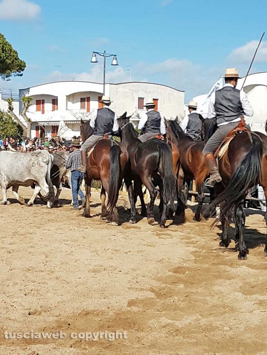 La festa della Maremma a Montalto di Castro 