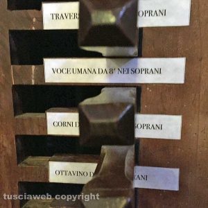 L'organo nel santuario di Maria santissima del Ruscello