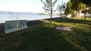 Capodimonte - Abbraccia un pioppo!