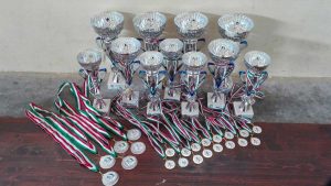 Ginnastica ritmica - Coppe e medaglie in palio