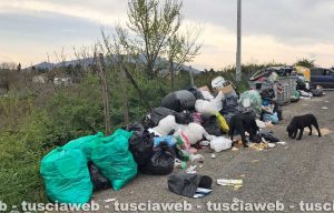 Bagnaia - Rifiuti in strada San Cataldo