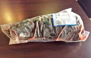 Il pesce sequestrato dalla guardia costiera