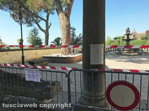 Viterbo - Comune - Ci sono le processionarie, chiuso il cortile di palazzo dei priori