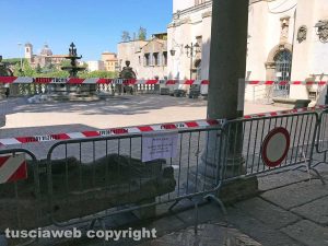 Viterbo - Comune - Ci sono le processionarie, chiuso il cortile di palazzo dei priori