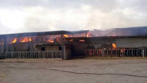 Nepi - Incendio in un'azienda agricola