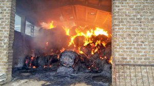 Nepi - Incendio in un'azienda agricola