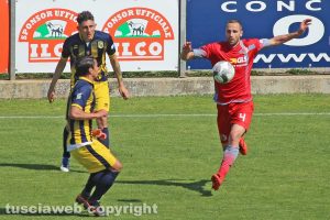 Sport - Calcio - Viterbese - Antonio Cardore e Andrea Doninelli