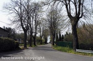 Bolsena - La strada in cui si trova la casa del ragazzo