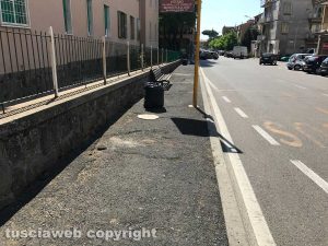 I sacchi di erbacce raccolti
