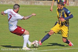 Sport - Calcio - Viterbese - Luigi Falcone
