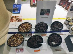 Roma - La presentazione di Piacere etrusco
