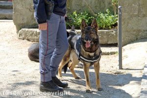 Polizia - Cinofili
