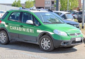 Carabinieri forestali