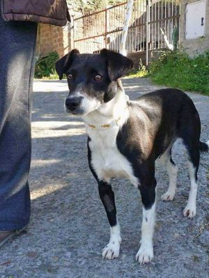 Lilù