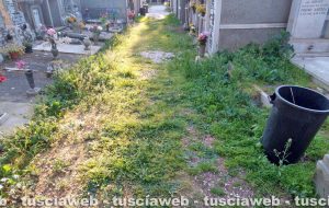 Grotte Santo Stefano - L'erbaccia al cimitero