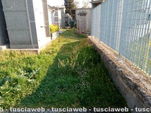 Grotte Santo Stefano - L'erbaccia al cimitero