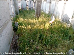 Grotte Santo Stefano - L'erbaccia al cimitero