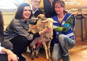 Laura Boldini adotta due agnellini