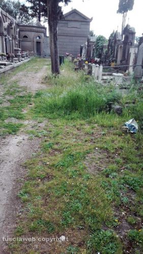 Viterbo - Il cimitero San Lazzaro nel degrado