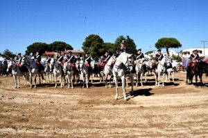 Terminata Maremma d'aMare