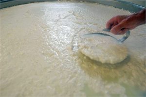 Lavorazione del latte