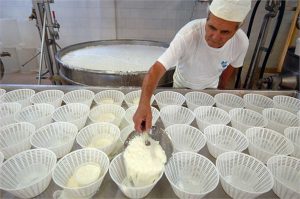 La lavorazione del latte