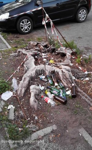 Viterbo - Il degrado nel tratto di via Romiti 