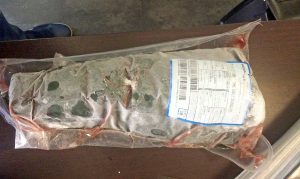 Roma - Sequestrata oltre una tonnellata di pesce scaduto