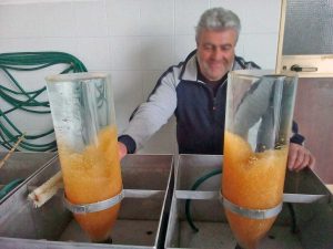 Marta - Uno dei pescatori davanti alle uova di luccio incubate