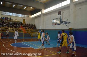 Sport - BasketArtisti e Basket Pegaso 