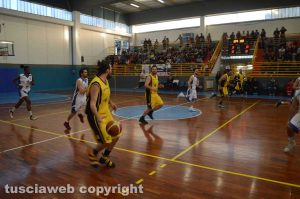 Sport - BasketArtisti e Basket Pegaso 