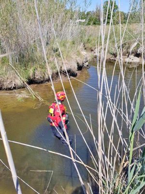 Tarquinia - L'intervento dei vigili del fuoco alle Saline 