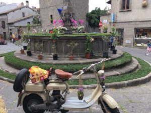 Viterbo - La via dei fiori a Pianoscarano