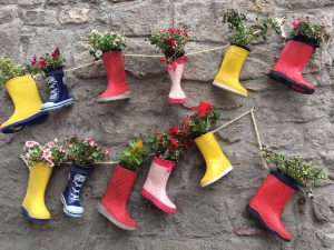 Viterbo - La via dei fiori a Pianoscarano