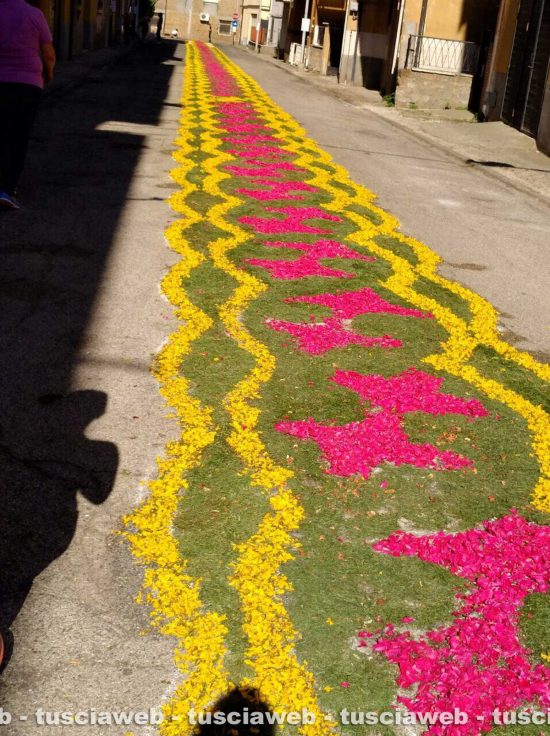 Corchiano in fiore