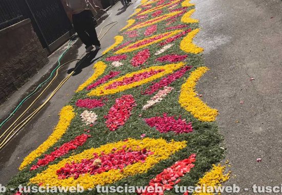 Corchiano in fiore