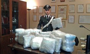 Tuscania - 64 chili di marijuana in un casale - La droga sequestrata