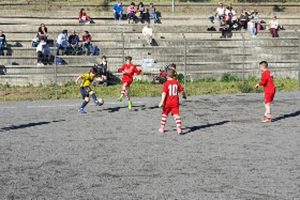 Sport - Calcio - La Mini Champions organizzata dal Barco Murialdina